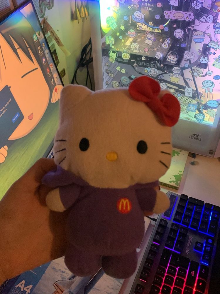 rare hello kitty plushie