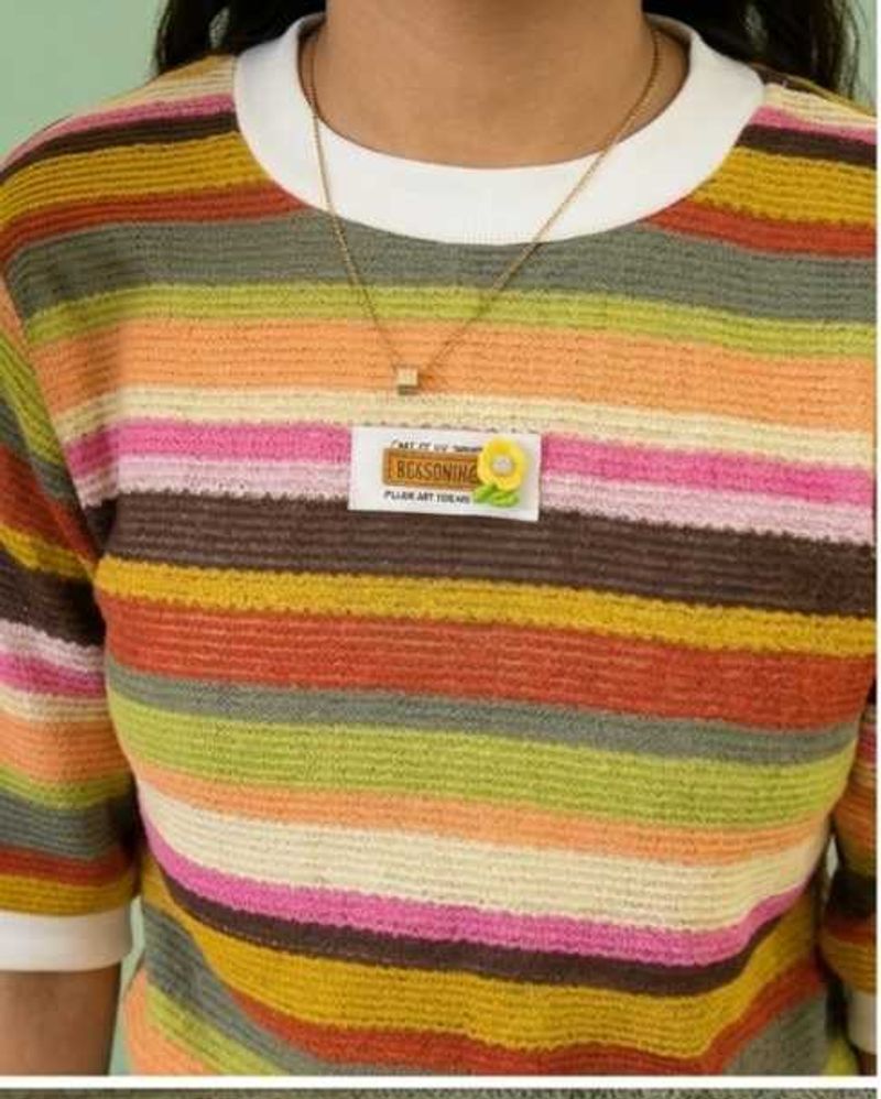 Colorful Striped Knit crop Top