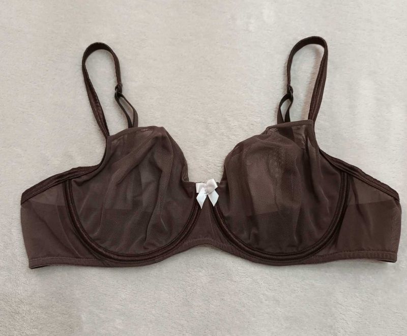 Sheer Brown Bra with White Bow Accent