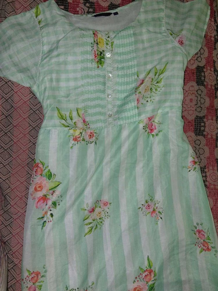 Light Green Floral Ethnic Gown