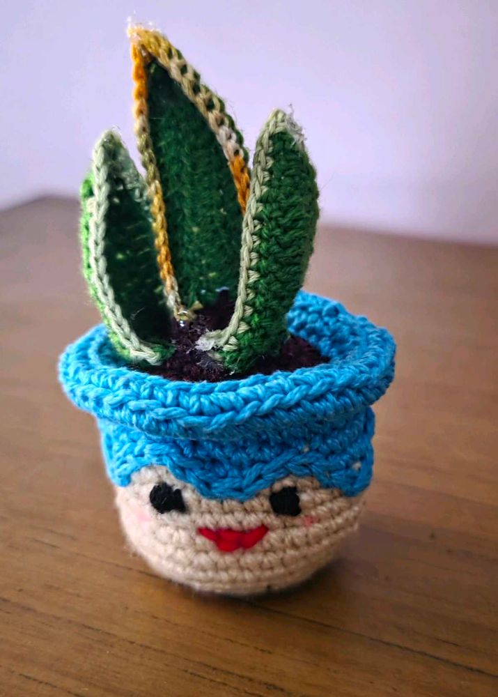 Crocheted Plant Pot Decor