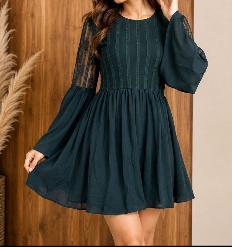 Elegant Lace Sleeve A-line Dress
