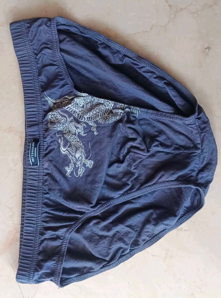 Men's Dragon Print Briefs
