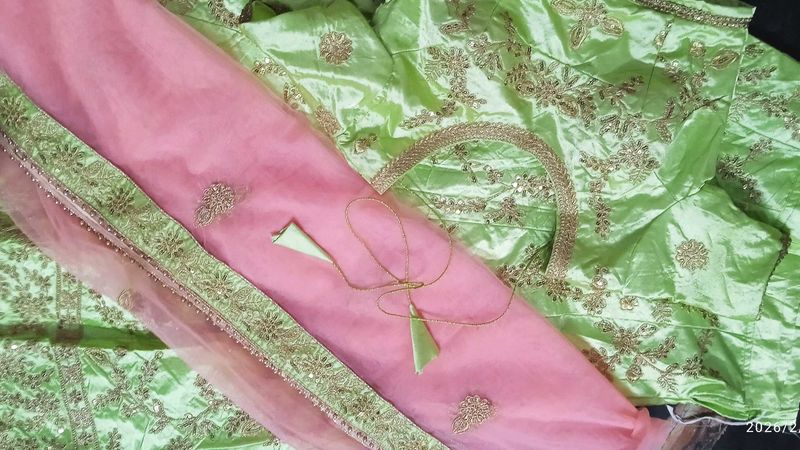 Gorgeous Lehenga Choli