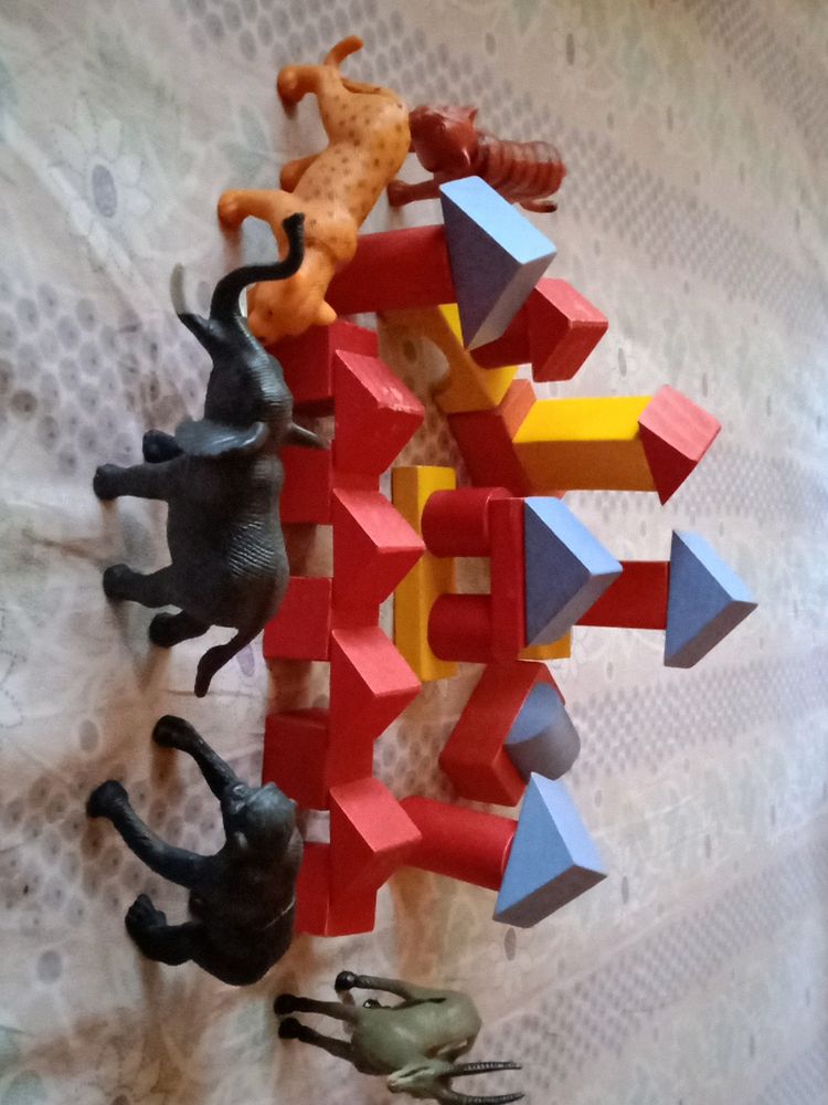 Wooden &amp; plastic blocks