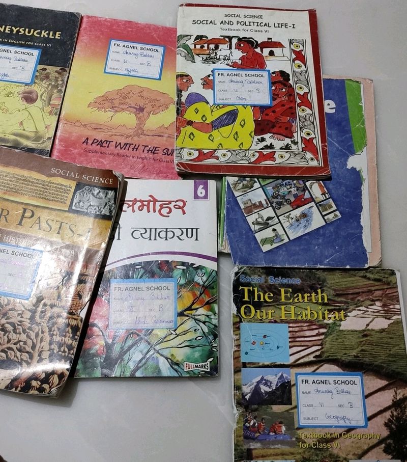 6th Class 8 Books