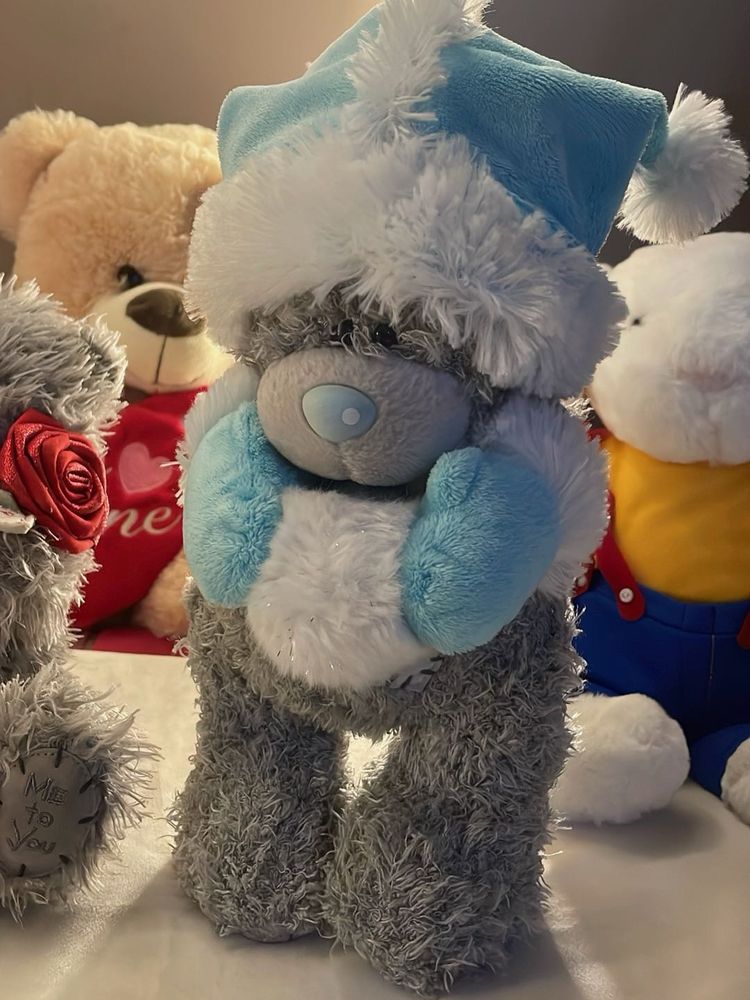 Cute Tatty Teddy Bear Plush Toy