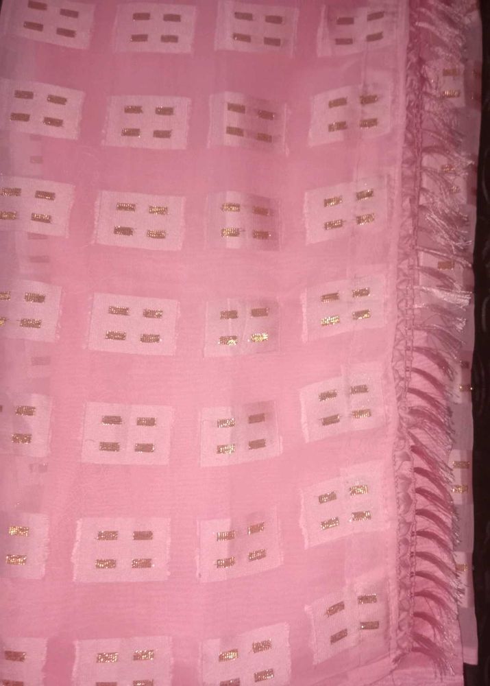 Elegant Pink Saree with Gold Accents