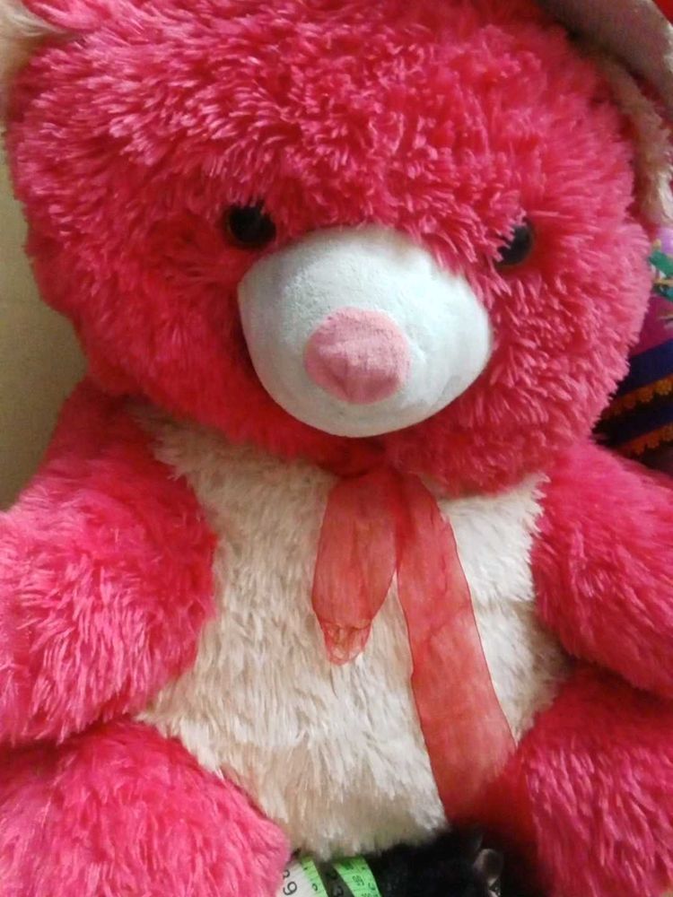 Large Pink Teddy Bear Plush