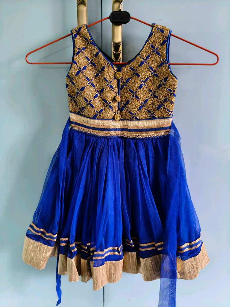 Royal Blue &amp; Gold Embroidered Lehenga Choli