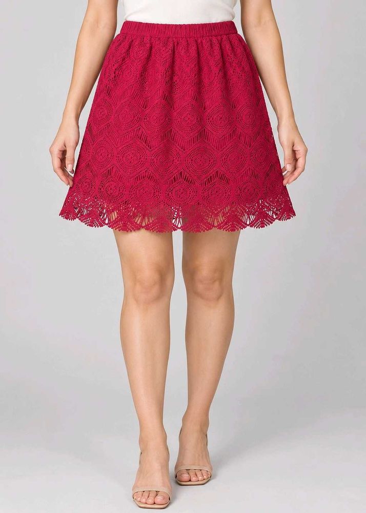 Chic Lace Skater Skirt
