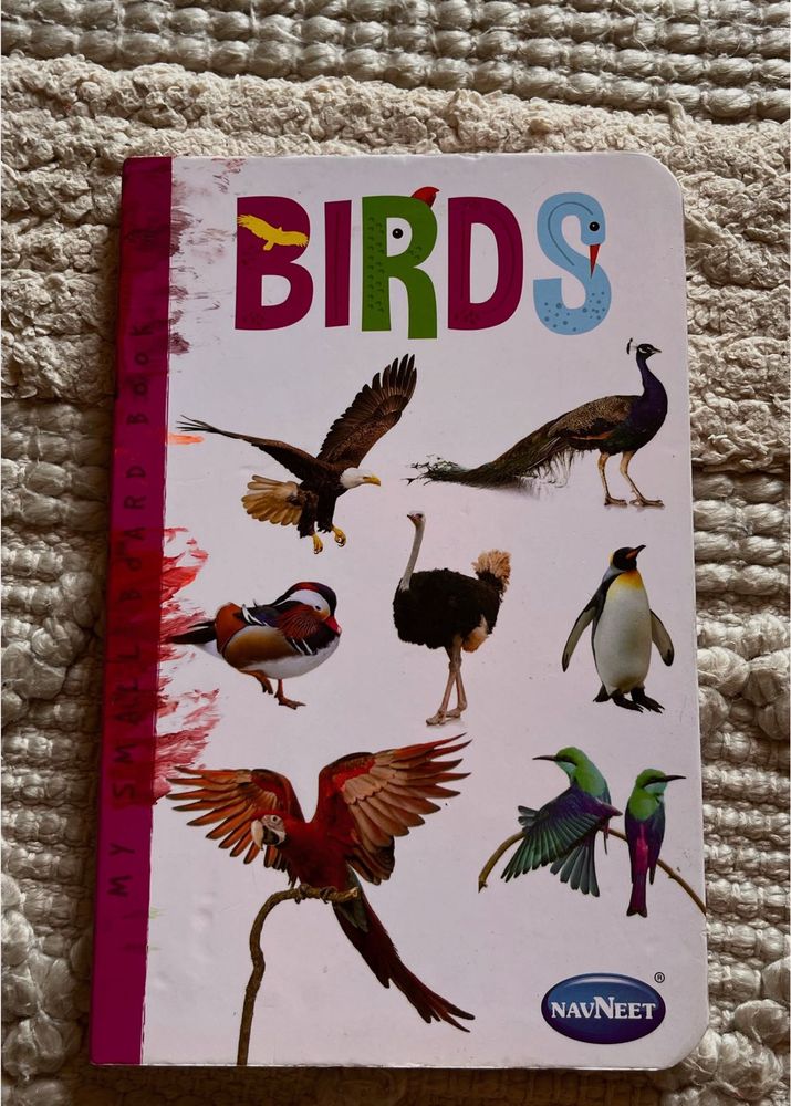 Birds Illustrated Board Book