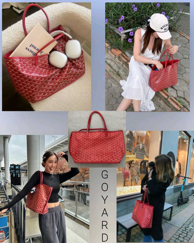 Goyard Anjou PM tote bag with pouch