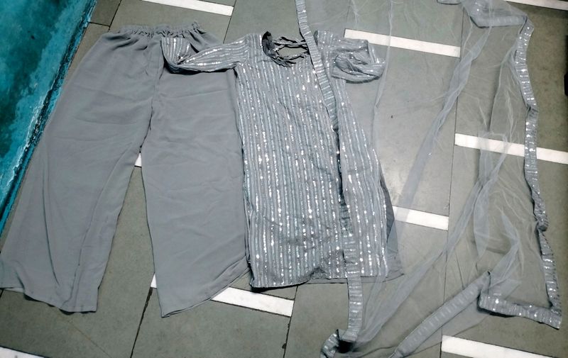 Grey Colour Full Pair Sequence Kurta Plazo And Du