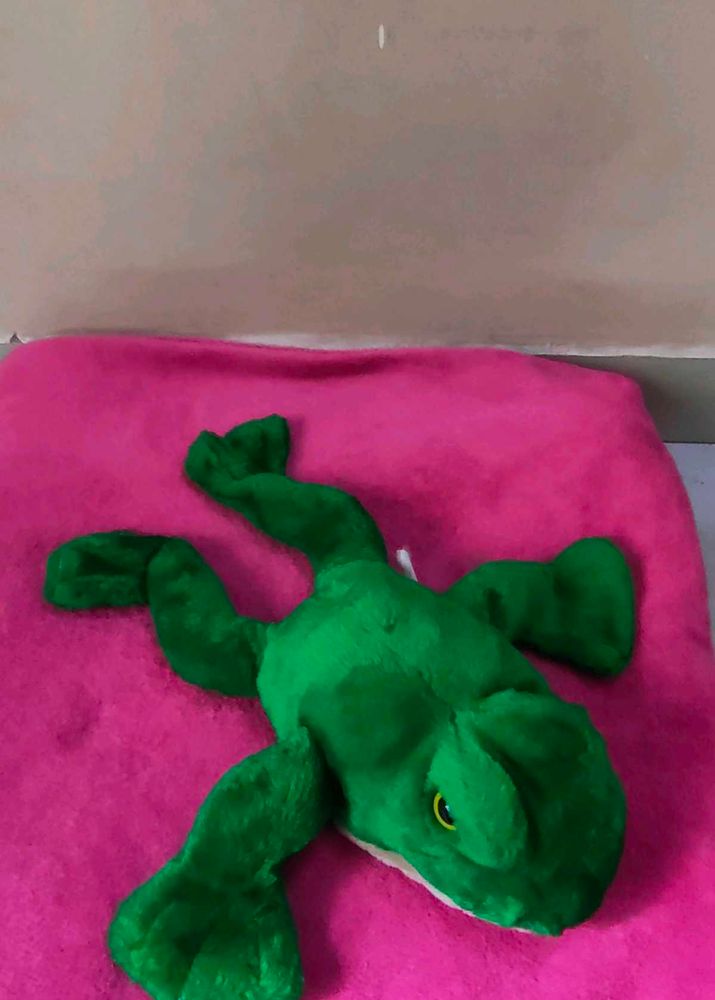 Green Plush Frog