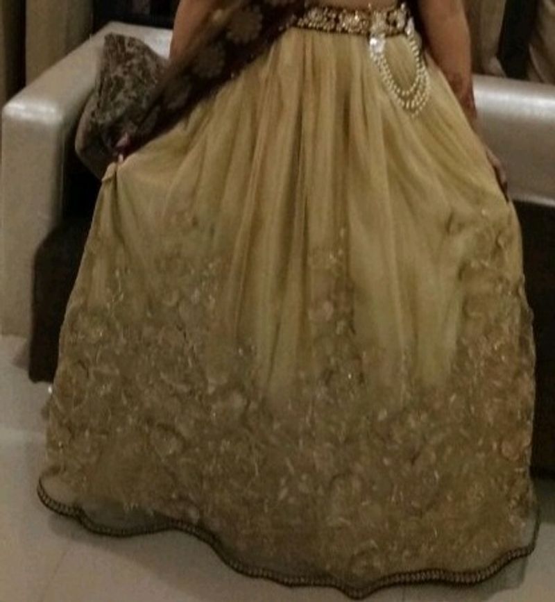 Lehenga With Heavy Blouse