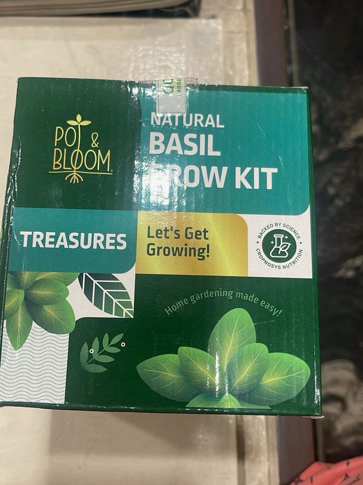 Pot &amp; Bloom Natural Basil Grow Kit