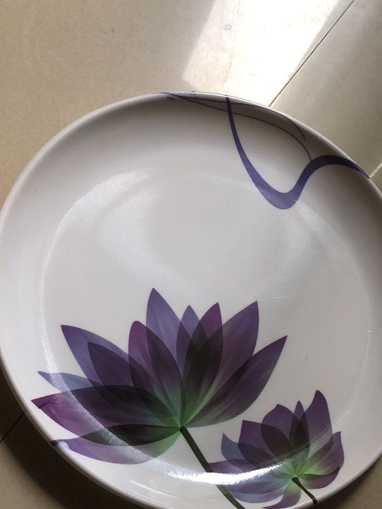 Floral Design Dinner Plates Set
