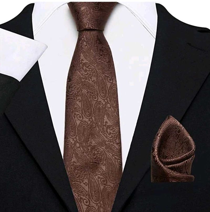 Elegant Paisley Tie &amp; Pocket Square Set