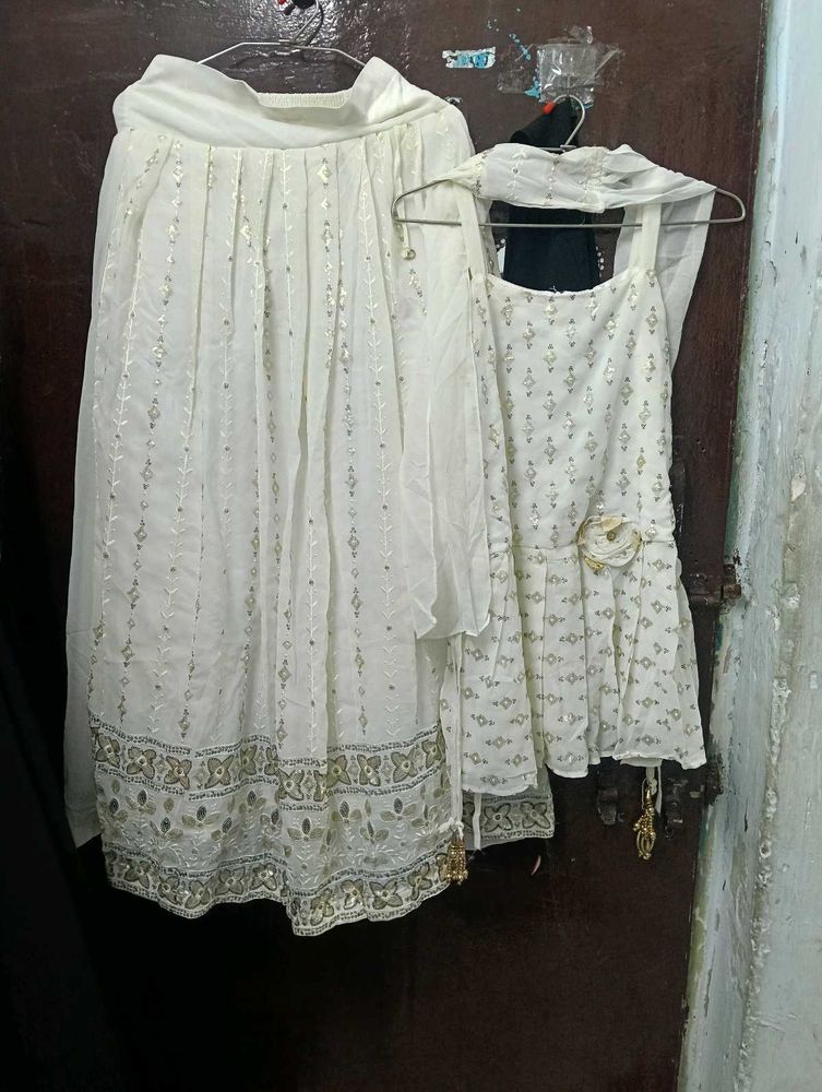 Elegant Embellished Ethnic Skirt