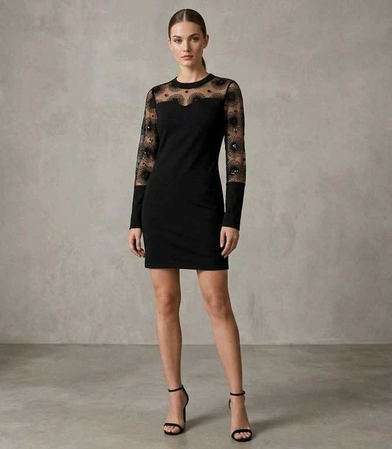 Black mini dress with sheer, embroidery long sleev
