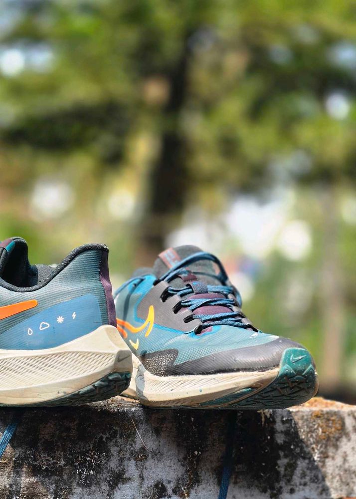 Nike Zoom Pegasus 39 shield