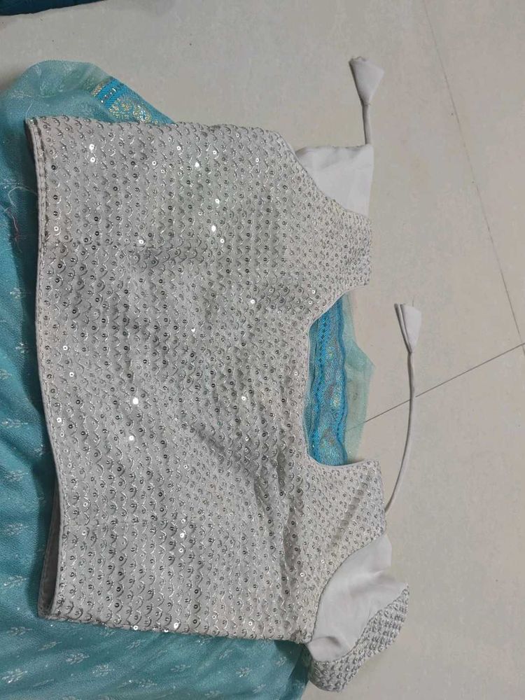 Sparkling White Sequinned Blouse with saree