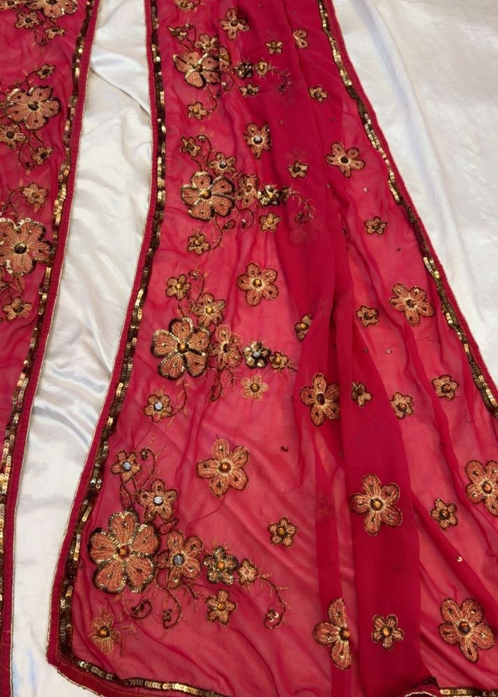 Embellished Net Dupatta