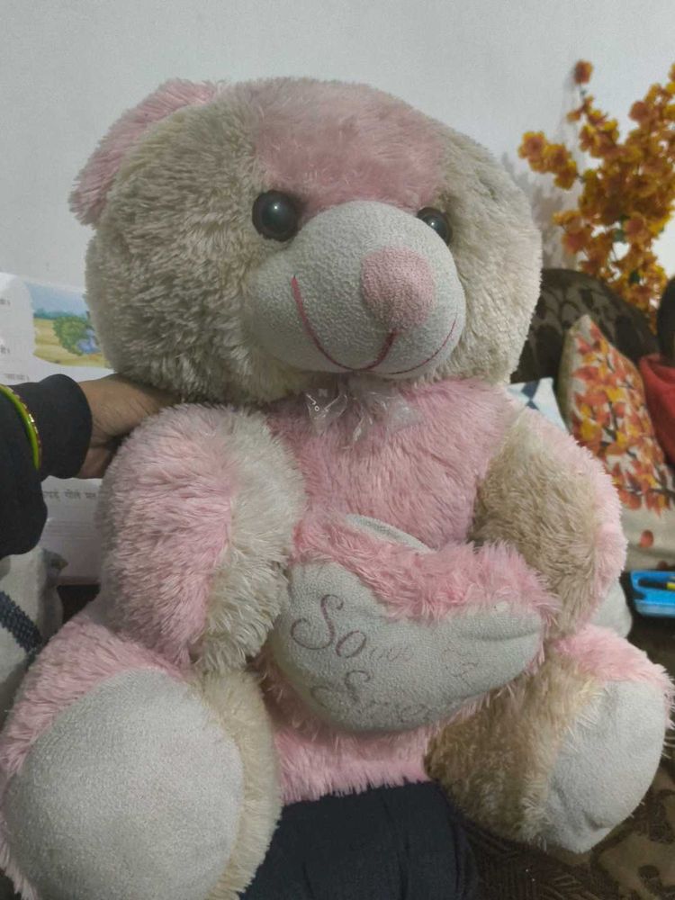 Cute Pink Teddy Bear