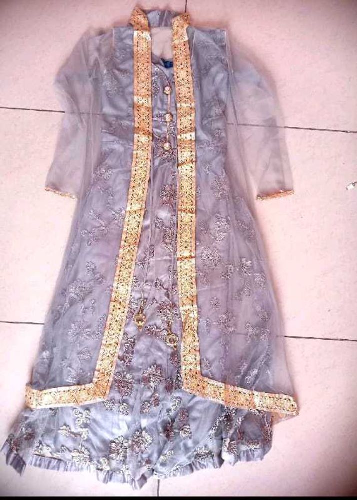 Elegant Grey Embroidered Dress