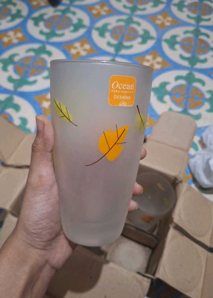 Ocean Designs Tiara Frosted Glass Tumblers