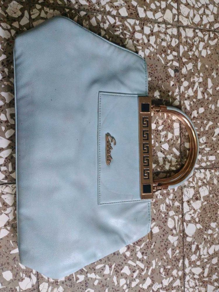 Esbeda Elegant Clutch