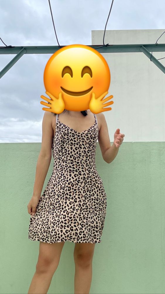 H&amp;M Dress, Animal print, one strips