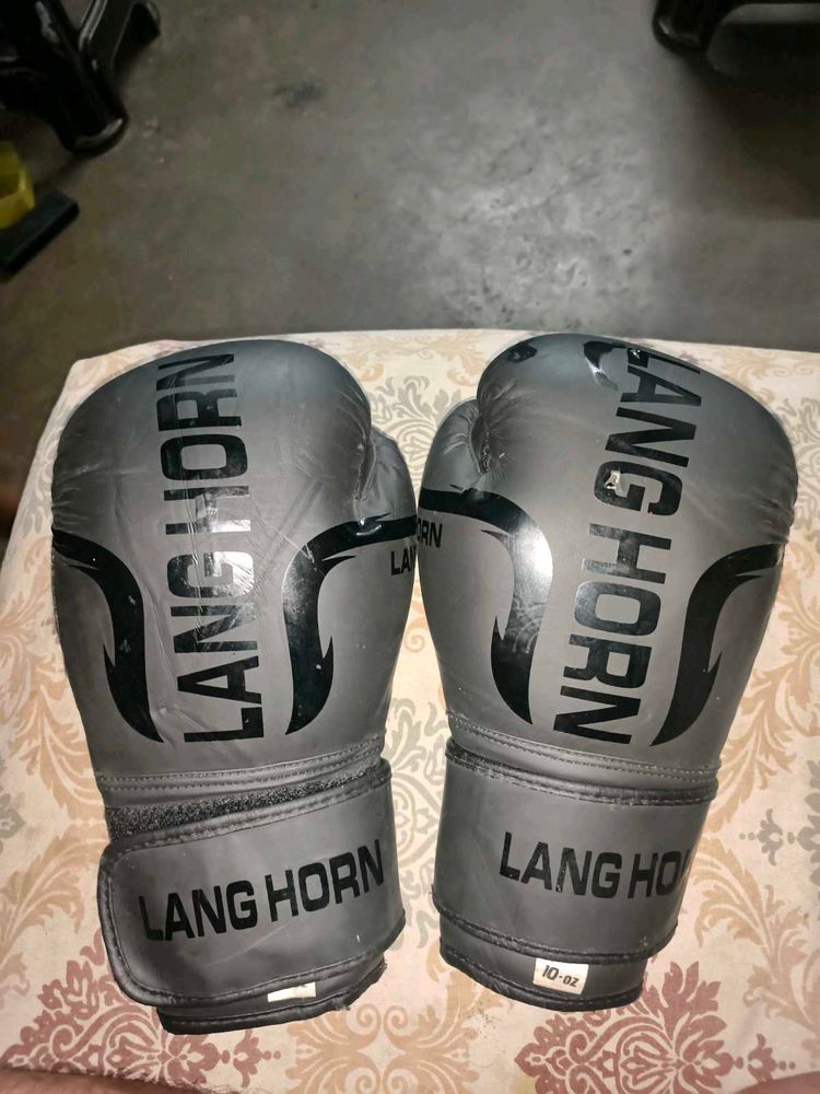 LANG HORN Boxing Gloves