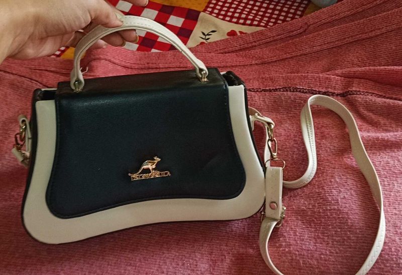 handbag