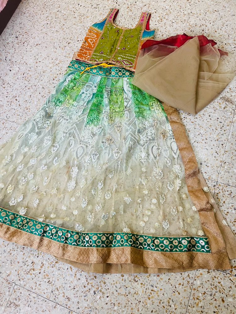 Cutest Lengha Coli