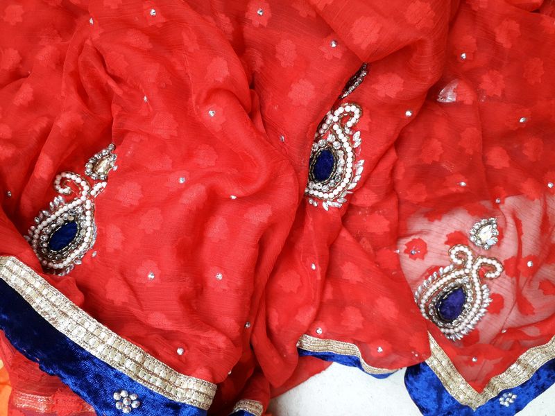 Red &amp; Blue Embellished Saree