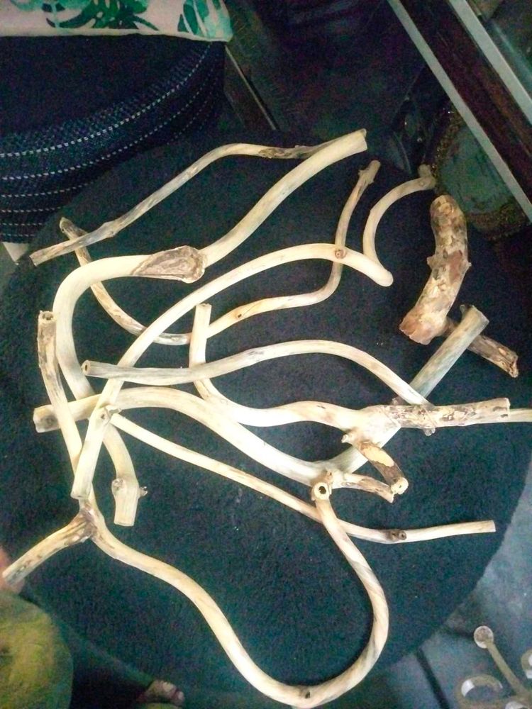 Drift Wood Pieces