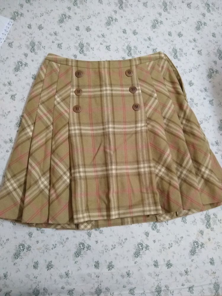 winter skirt