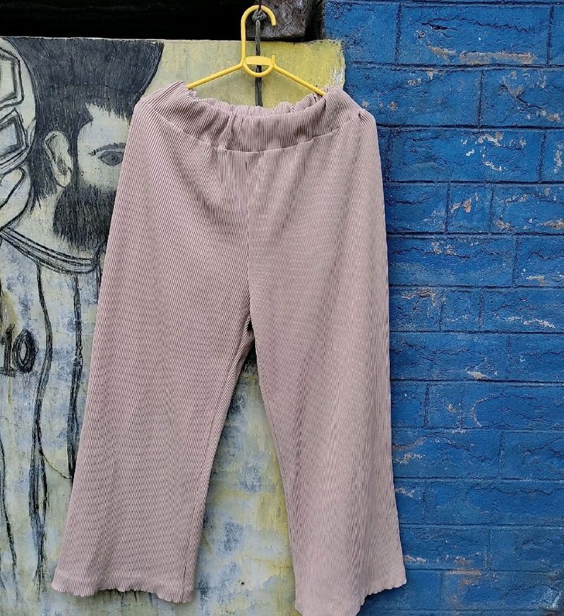 Plazo Pant