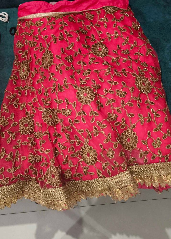 Beautiful Embroidered Lehenga Skirt