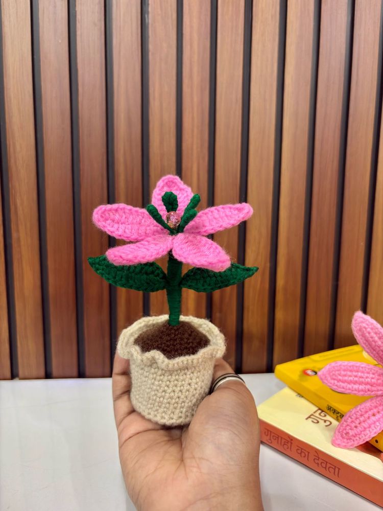 Handmade Crochet Lily Pot