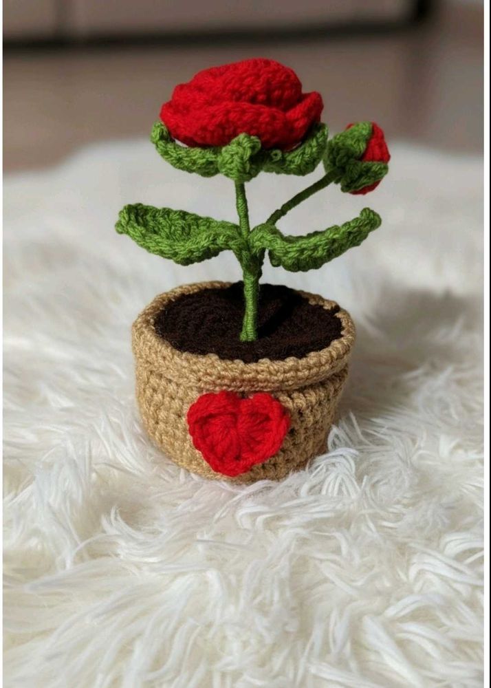 Crochet Rose in Pot
