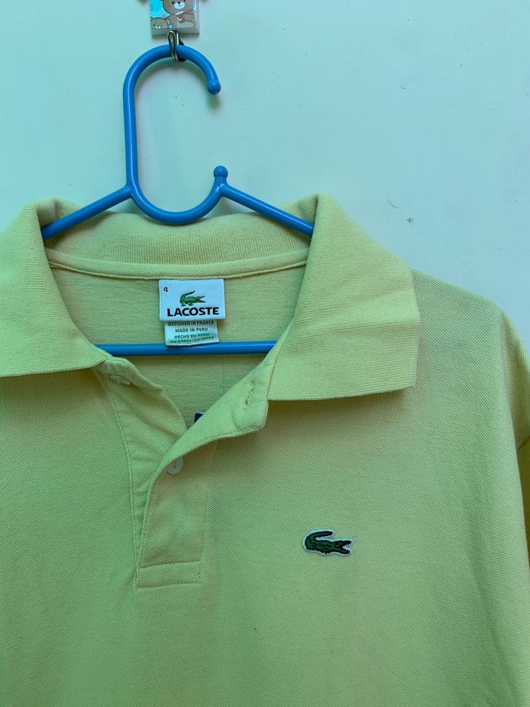 Authentic Lacoste Polo Shirt