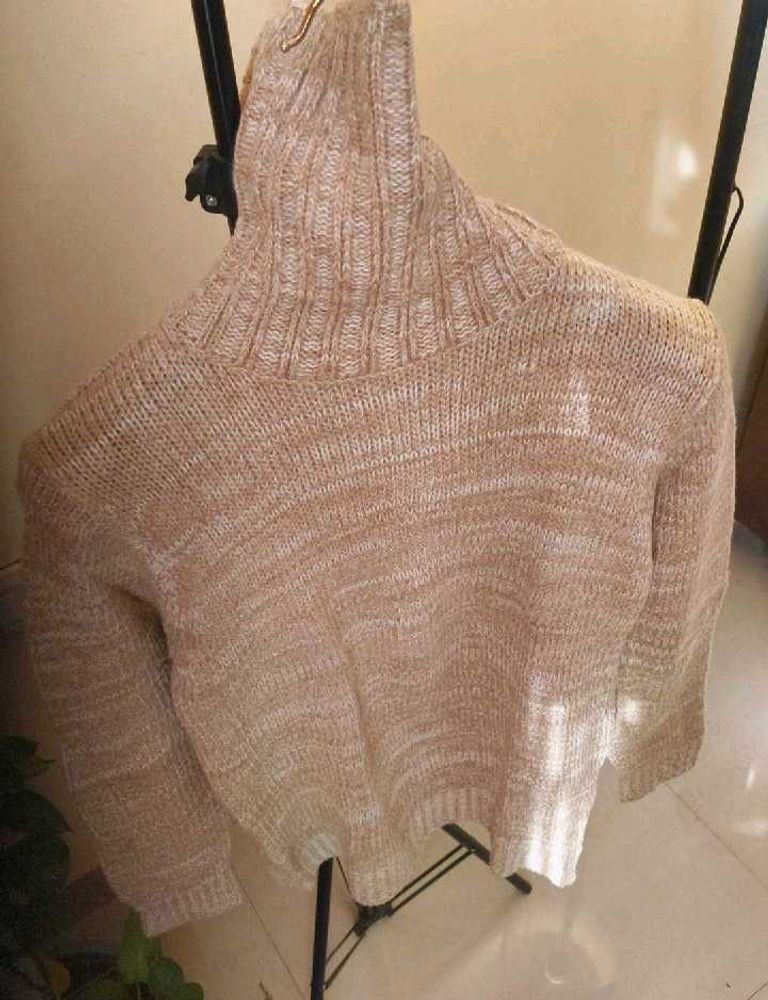 Knit Turtleneck Sweater