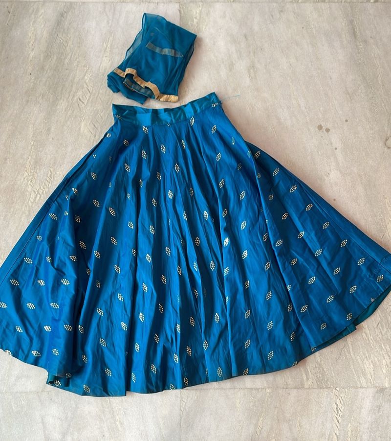 sequence lahenga / ghaghra / heavy blouse