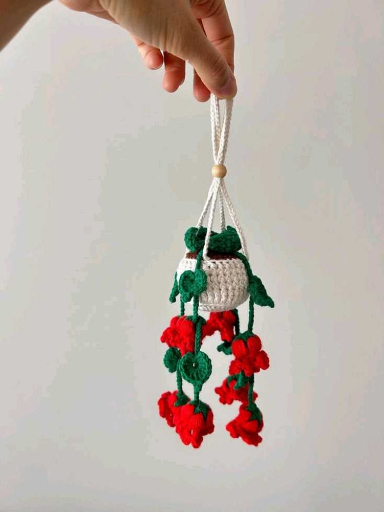 Crocheted Hanging Plant Decor