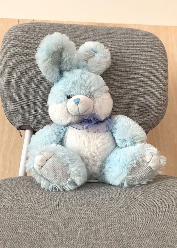 Cute Blue Bunny Plush Toy