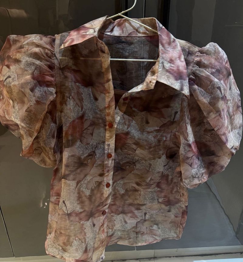 Sheer Floral Puff Sleeve Blouse