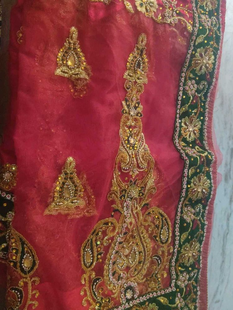 Embellished Red Saree with Gold Embroidery